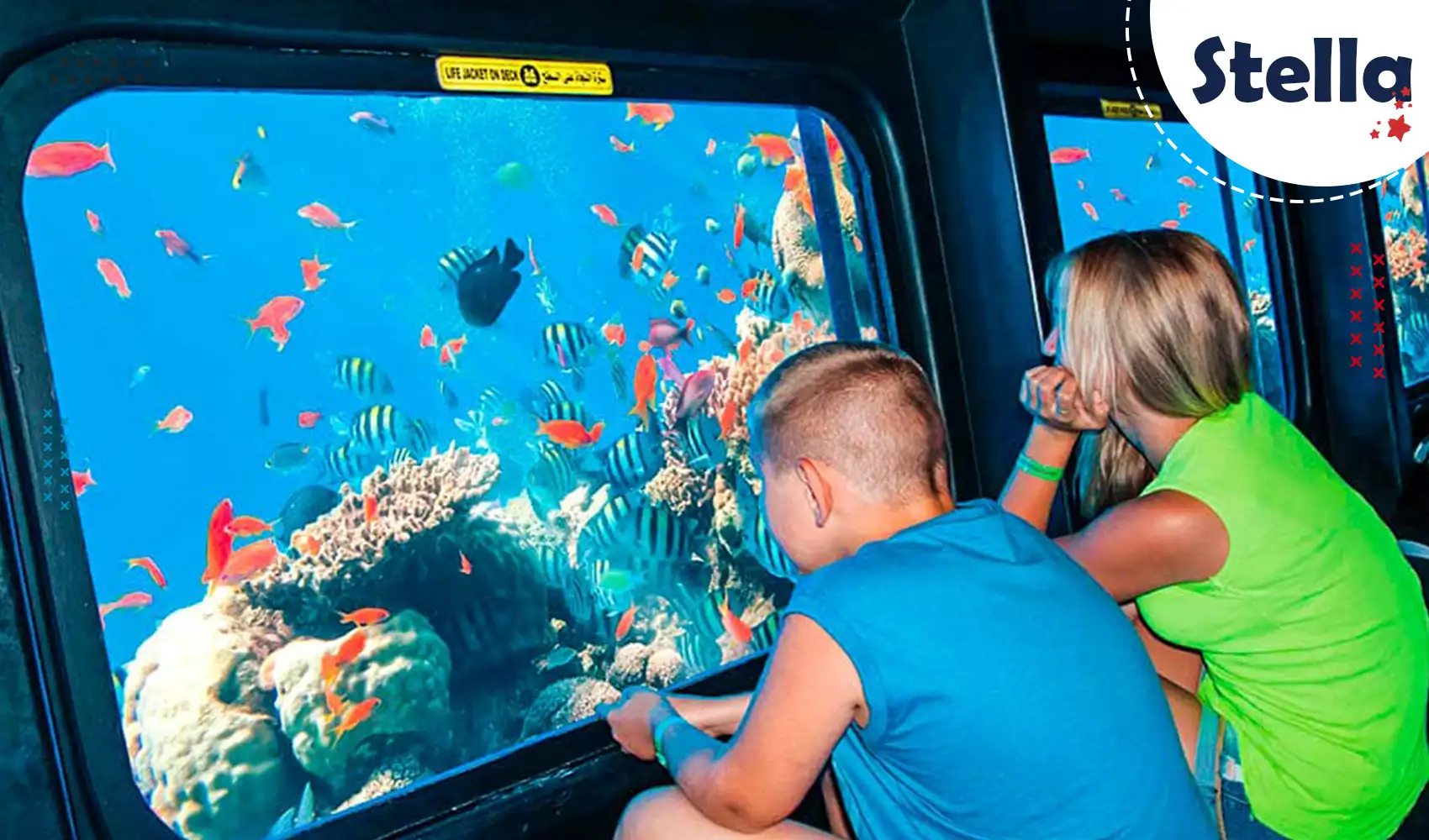 Entdecken Sie bunte Korallenriffe und exotische Fische bei einer Glasbodenboot-Tour in Hurghada – ideal für Familien mit Kindern.