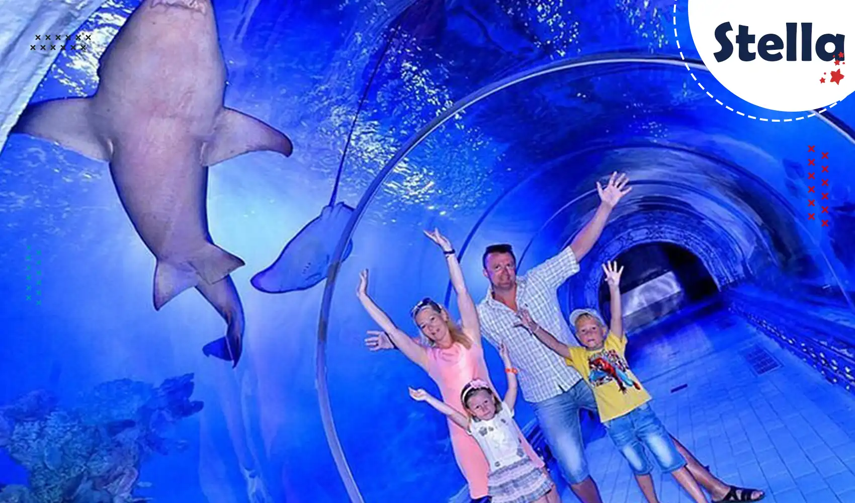 Entdecken Sie Haie, Rochen und exotische Meeresbewohner im Hurghada Grand Aquarium – ein Highlight für Familien mit Kindern.