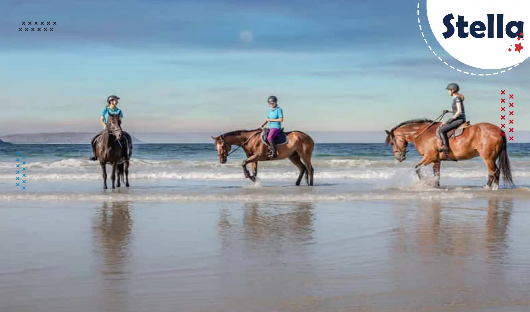 Reiten Sie am Strand oder durch die Wüste – Pferdereiten in Hurghada ist ein ruhiges, naturverbundenes Erlebnis für Groß und Klein.